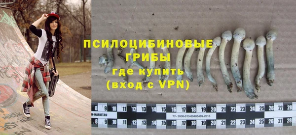 дмт Алзамай
