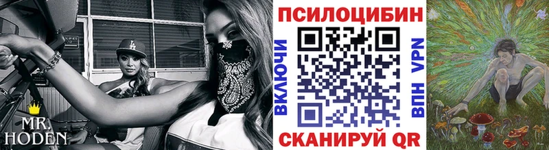 Псилоцибиновые грибы Psilocybine cubensis  цены   Магнитогорск 