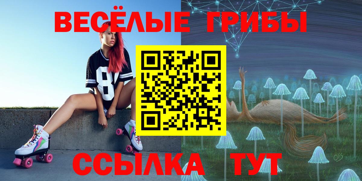 Магнитогорск  Галлюциногенные грибы GOLDEN TEACHER  Вход с VPN  что такое наркотик  Галлюциногенные грибы Psilocybe 