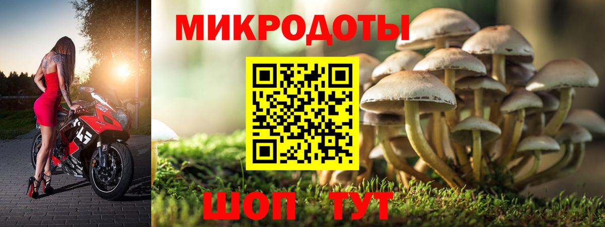 Галлюциногенные грибы Magic Shrooms Магнитогорск